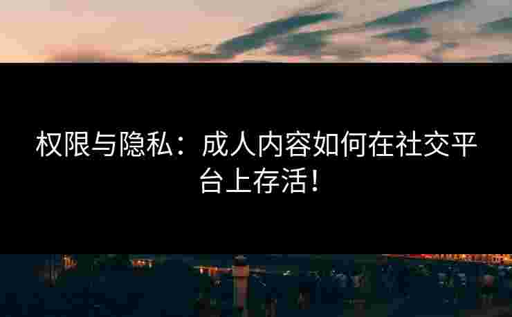 权限与隐私：成人内容如何在社交平台上存活！